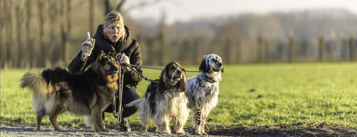 Honden- en kattenverzorging Stefanie