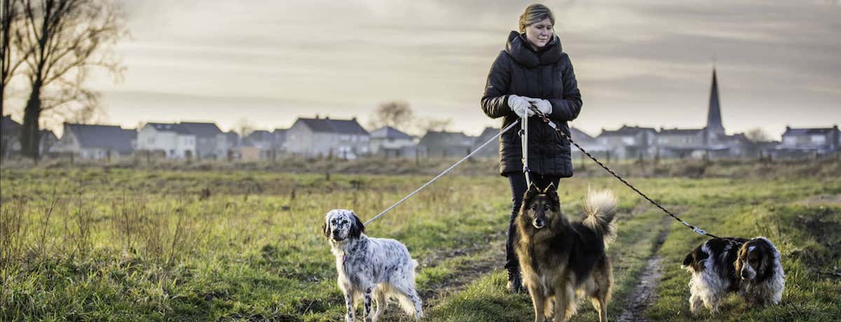 Honden- en kattenverzorging Stefanie