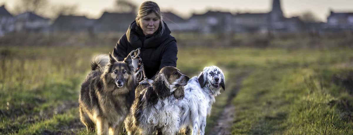 Honden- en kattenverzorging Stefanie