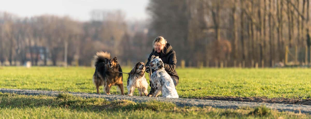 Honden- en kattenverzorging Stefanie