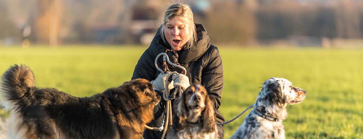 Honden- en kattenverzorging Stefanie