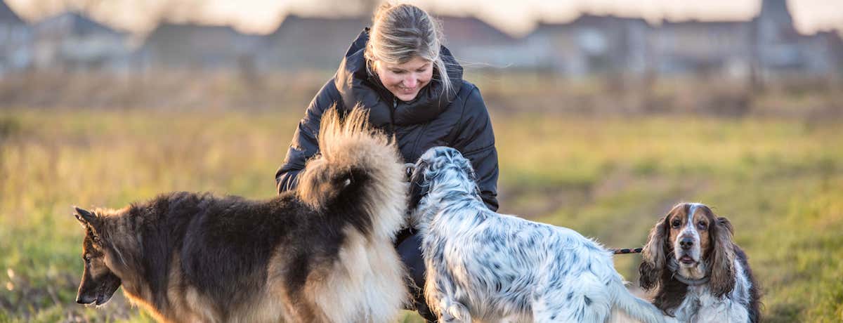 Honden- en kattenverzorging Stefanie